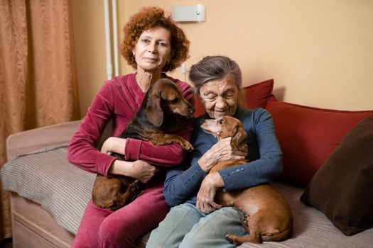 Elder woman and her adult daughter together with two dachshund dogs on sofa indoors spend time happily, portrait. Theme of mother and daughter relationship, taking care of parents, family care.