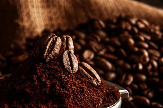 ground coffee poured into the holder on which the grains of roasted, fragrant coffee lie. on the background of fried grains