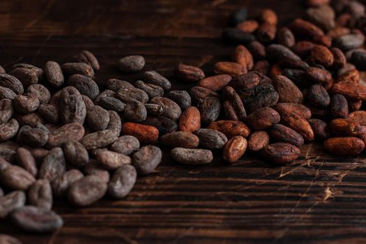 Raw cocoa beans two types Venezuela on brown background.