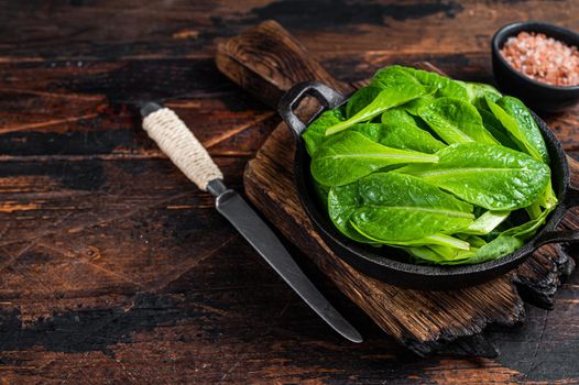 Baby romain green salad leaves in pan. Dark wooden background. Top view. Copy space.