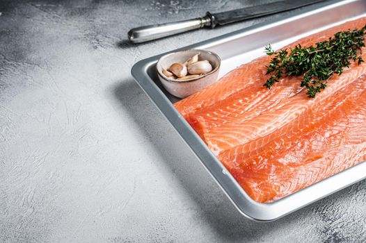 Raw uncooked sea salmon fillet fish in a kitchen tray with herbs. White background. Top view. Copy space.