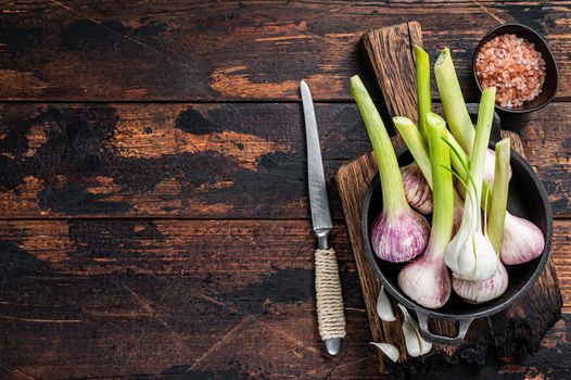 Young Spring garlic bulbs and cloves in a pan. Dark Wooden background. Top view. Copy space.