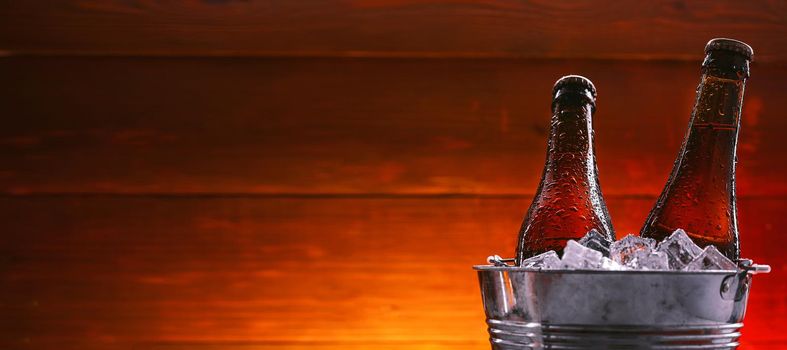 two bottles of beer in an ice bucket