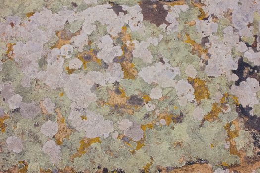 Stones texture and background. Rock texture with different color spots of lichen.