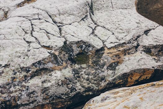 Stones texture and background. Rock texture with different color spots of lichen.