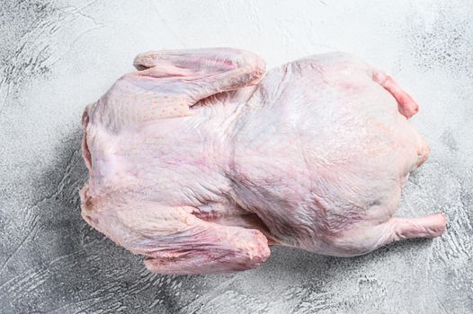 Raw whole duck, organic poultry. White background. Top view.