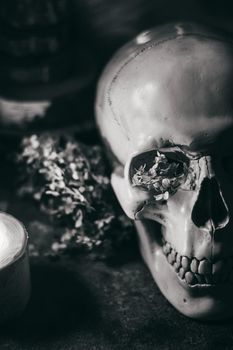 Occult mystic ritual halloween witchcraft scene - human scull, candles, dried flowers, moon and owl. Black and white photo.