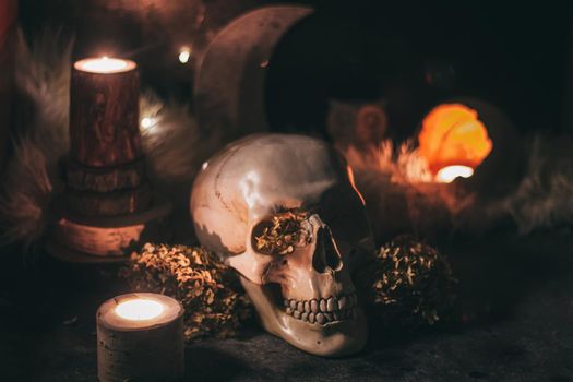 Occult mystic ritual halloween witchcraft scene - human scull, candles, dried flowers, moon and owl.