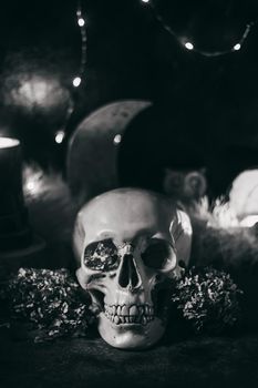 Occult mystic ritual halloween witchcraft scene - human scull, candles, dried flowers, moon and owl.