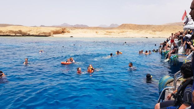Egypt, Sharm El Sheikh - September 20, 2019: A group of tourists diving with a mask and snorkel are looking at the beautiful and colorful sea fish and coral reef in the Red Sea near the ship