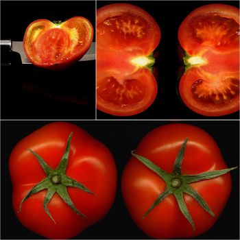 tomatoes collage composition nested on a black square frame