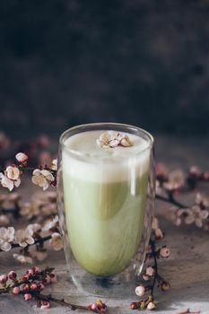 Cup of matcha latte tea with brunch of cherry blossoms.