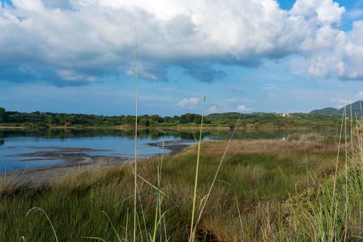 The Gialova lagoon is one of the most important wetlands in Europe, as it constitutes the southernmost migratory station of migratory birds in the Balkans to and from Africa.