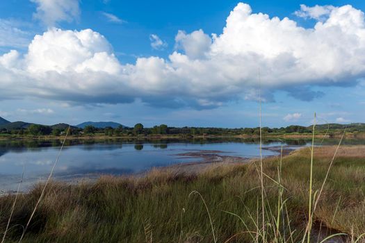 The Gialova lagoon is one of the most important wetlands in Europe, as it constitutes the southernmost migratory station of migratory birds in the Balkans to and from Africa.