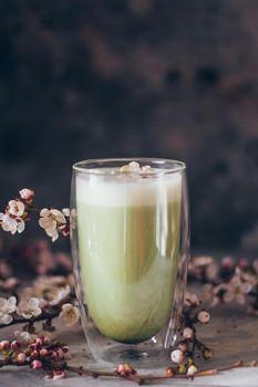 Cup of matcha latte tea with brunch of cherry blossoms.