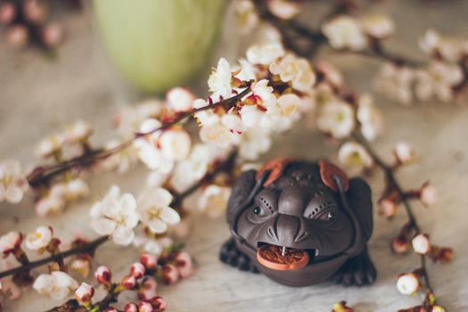 Money Toad Japanese frog in cherry blossoms.