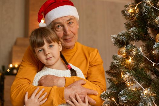 Happy family on Christmas Eve, little charming little girl with pigtails posing with her grandfather, senior man in santa claus hat hugging her grandchild near Xmas tree.