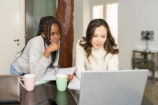 Two college girls studying together at home with laptops while drinking coffee. Multiethnic women.