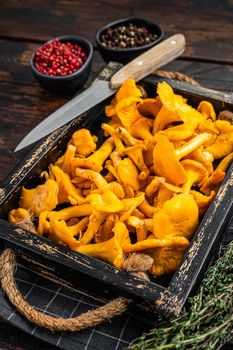 Harvested Raw Chanterelles mushrooms in a rustic tray. Dark Wooden background. Top view.