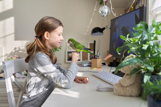Girl and pet green parrot together at home, child watches video on computer, veterinarian doctor's consultation on the care and lifestyle of Quaker parrots. Bird care, children and animals friendship