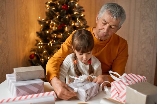Family grandfather and grandchild pack Christmas gifts, female kid with pigtails wearing white shirt spending time with granddad, preparing presents for New year, pose in room with fir tree.