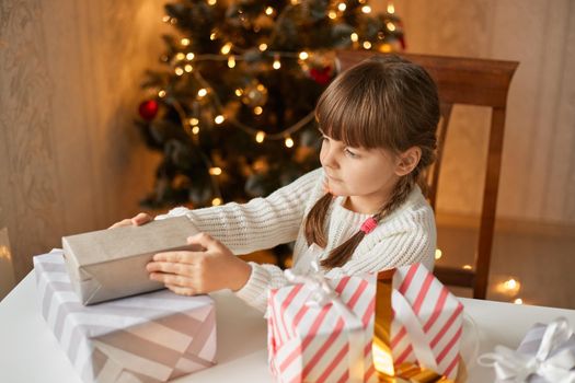 Girl packing christmas presents, sitting at table, dresses white sweater, has pigtails, looks at box in her hands, posing in festive room with fir tree and lights on background.