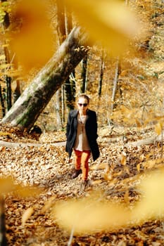 Fashionable young woman walking in autumn park on fallen leaves.