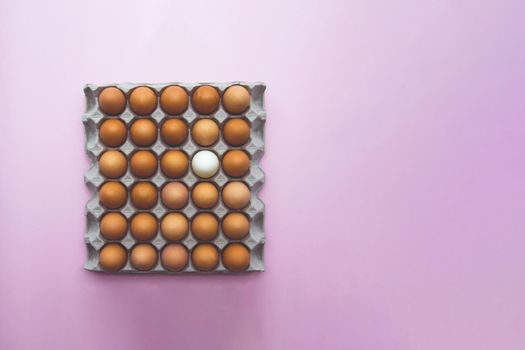 Close up of chicken eggs in carton box on pink background, view from the top, enough place for the text on a side