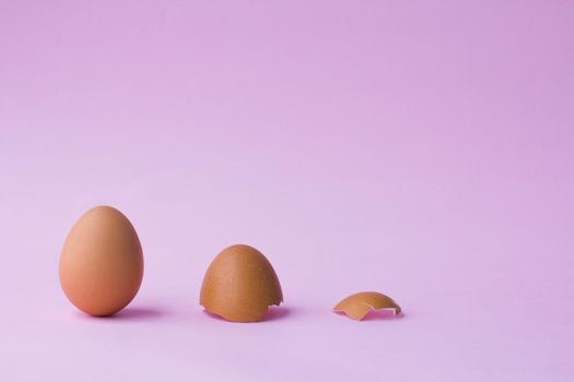 Chicken egg in a raw with eggshell on pink background, Close up concept..