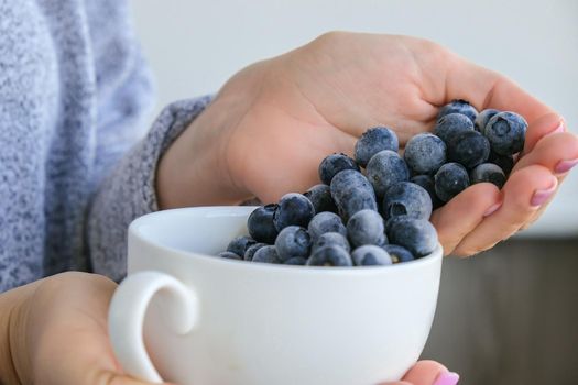 Woman holding bowl with Frozen blueberry fruits. Harvesting concept. Female hands collecting berries. Healthy eating concept. Stocking up berries for winter Vegetarian vegan food. Dieting nutrition