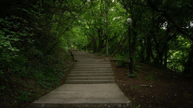Stone steps in a green park. Staircase in the city of Lazarevskoe Sochi, Russia