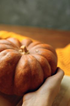 Ripe orange pumpkin in hands. Wooden table and concrete background.The concept of thanksgiving or Halloween. Autumn harvest festival.