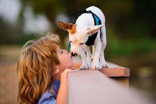 Lovely child with a dog walking outdoor