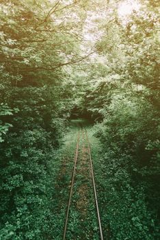 Old narrow-gauge railway in summer forest.