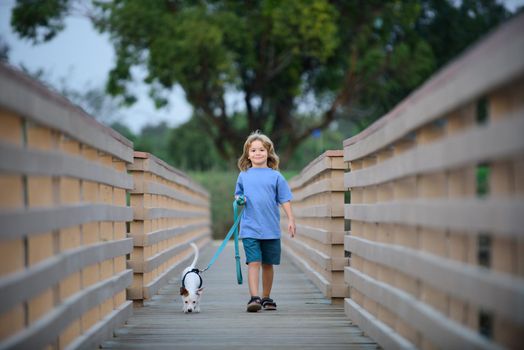 Kid taking a dog for a walk outdoors. Child with pet friend. Children little boy walks with the puppy