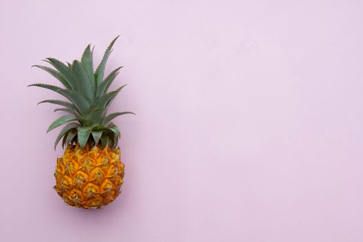 Fresh exotic fruit, yellow pineapple with green leaves on pink background, summer fruit concept, copy space.