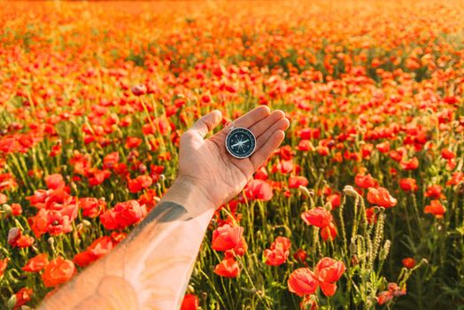 Male hand with compass on background of red poppies meadow, point of view.