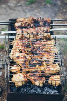 Grilled chicken thighs on the flaming grill.