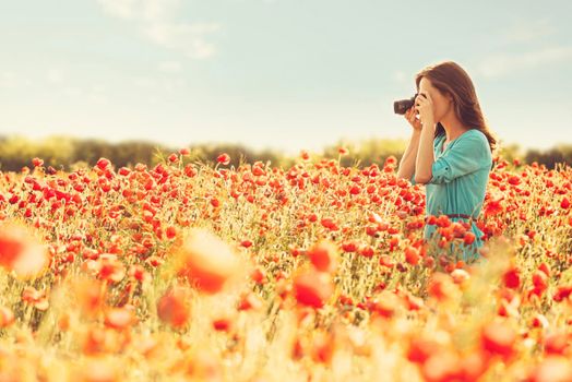 Photographer young woman taking photographs with camera in red poppies field on sunny day.