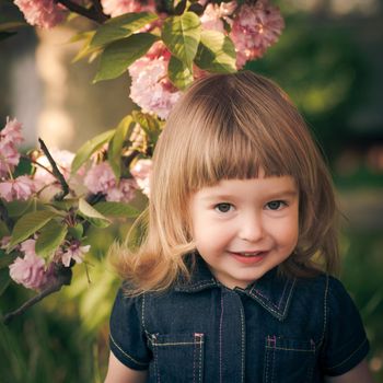 Adorable little girl's portrait in the garden, sakura blossom