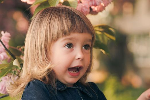 Adorable little girl's portrait in the garden, sakura blossom