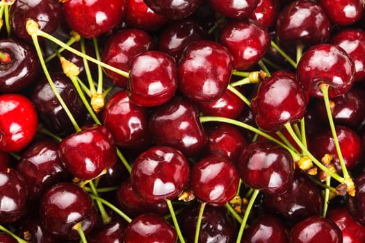 Sweet cherry fruits close up as a background