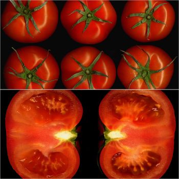 tomatoes collage composition nested on a black square frame