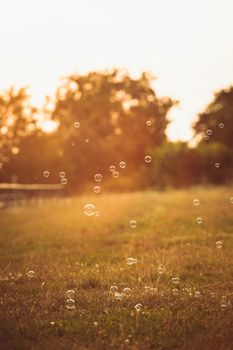 Bubbles in the park outdoor on the sunset