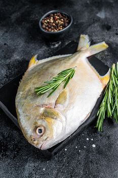 Raw fish pompano with herbs on a marble board. Black background. Top view.