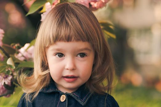 Adorable little girl's portrait in the garden, sakura blossom