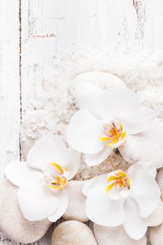 Sea salt, rebbles with orchids with copy space