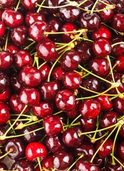 Sweet cherry fruits close up as a background