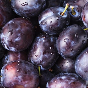 Fleshy wet plums close up as a background