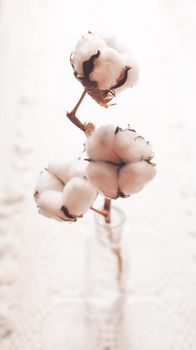 Cotton flower close up in glass bottle. Cozy home decor